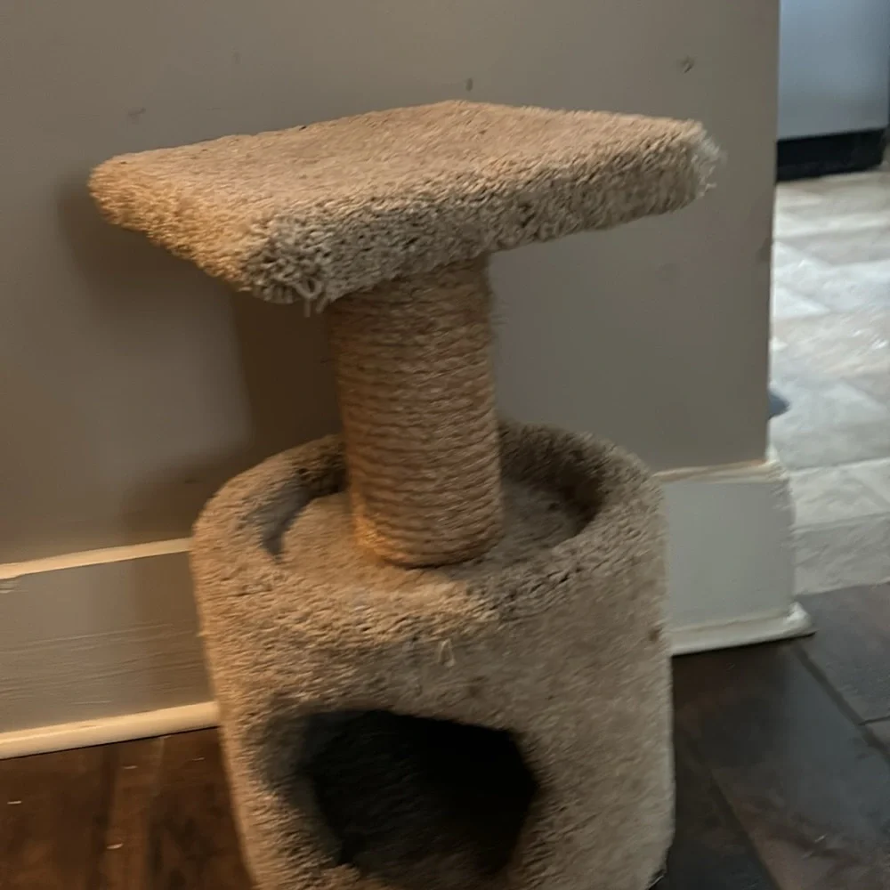 Cat house 15 inches tall